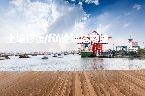 土壤修復(fù)地塊危廢鑒定流程環(huán)境衛(wèi)士：解析危險廢棄物處理的革新方案！